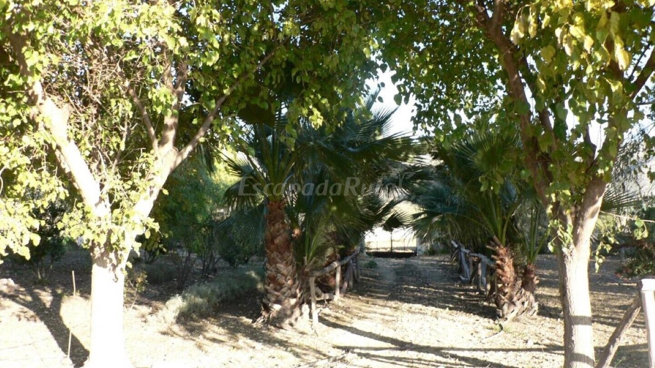 Photo of Outdoor in Canete la Real