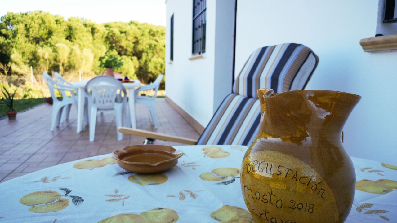 Photo of Outdoor in Cartaya