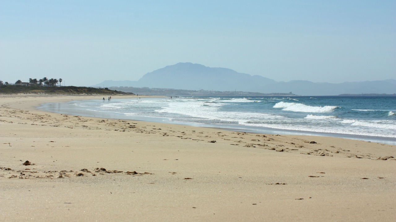 Photo of Others in Bolonia