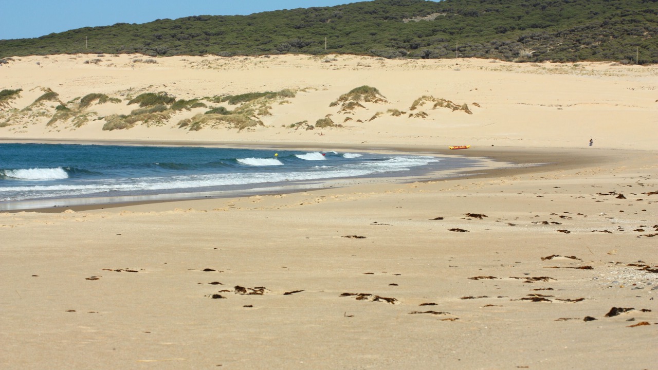 Photo of Others in Bolonia