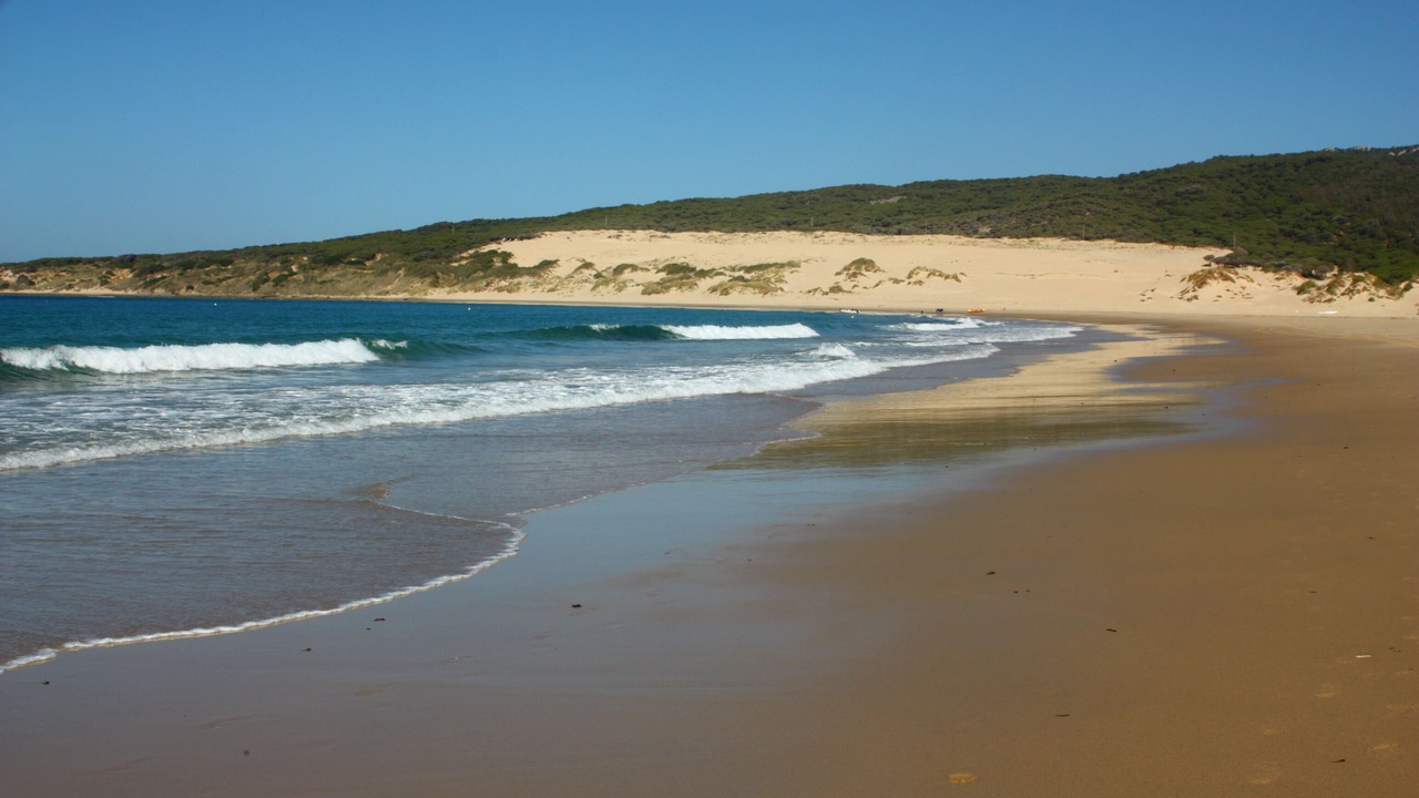 Photo of Others in Bolonia