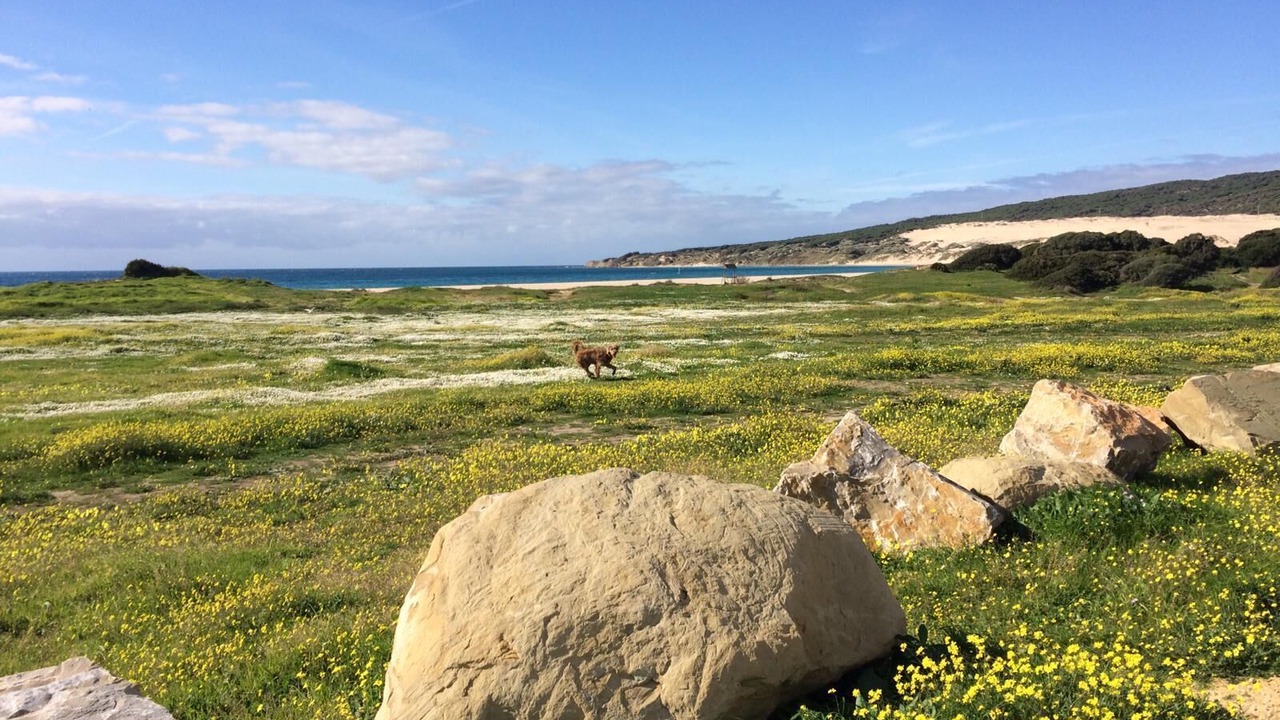 Photo of Outdoor in Bolonia