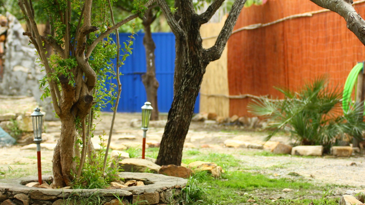 Photo of Outdoor in Bolonia