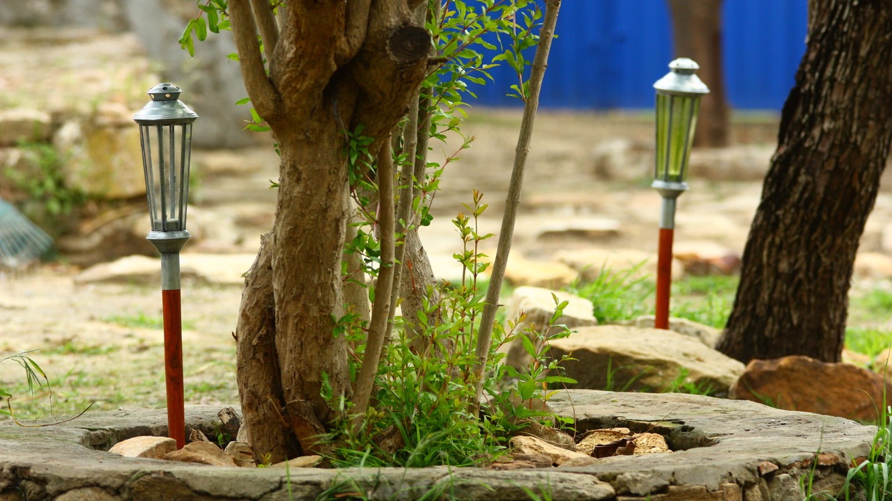Photo of Outdoor in Bolonia