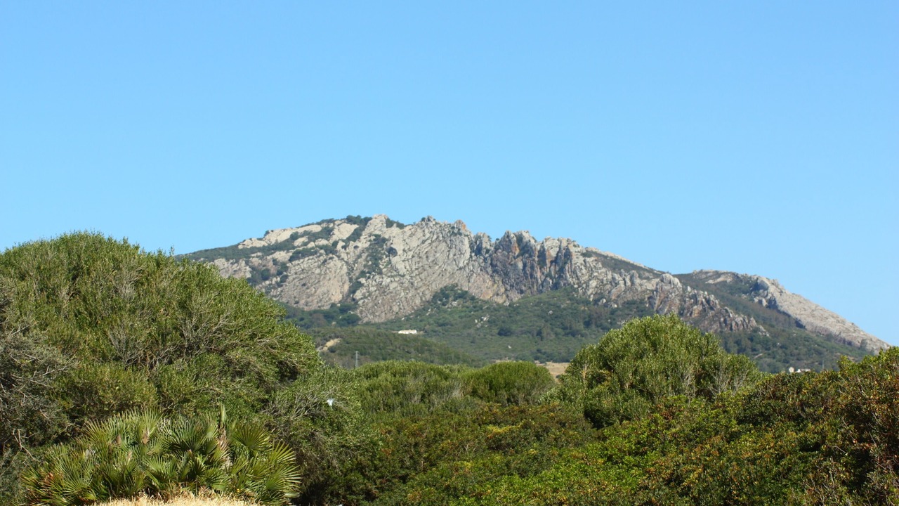 Photo of Others in Bolonia