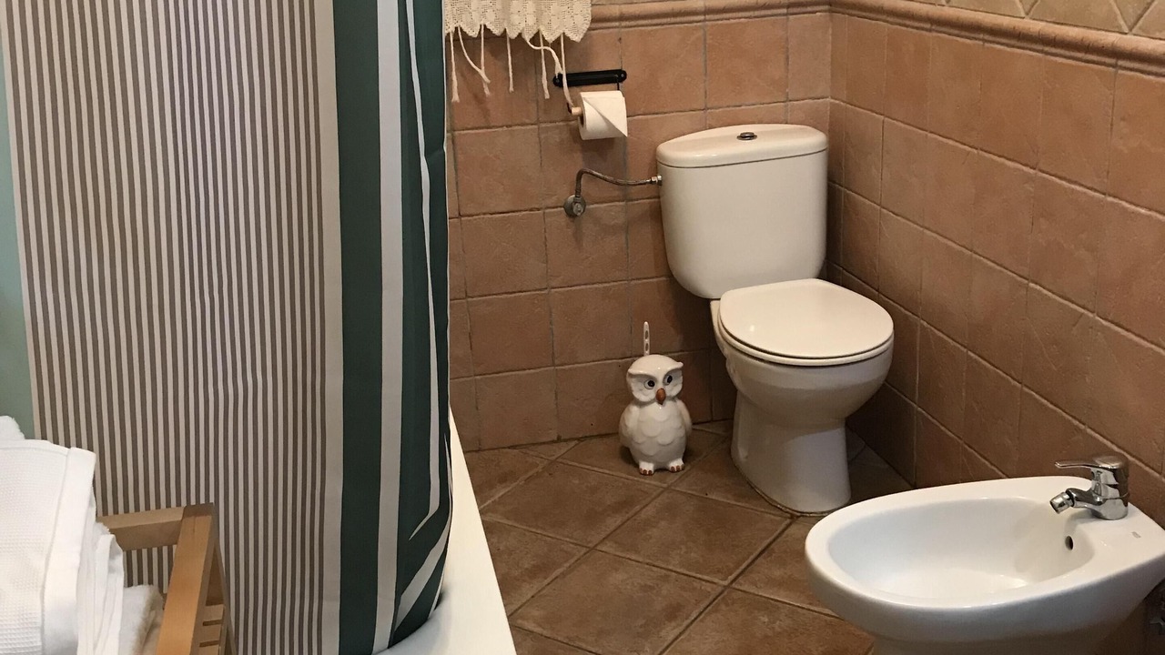 Photo of Bathroom in Valle de Abdalagis