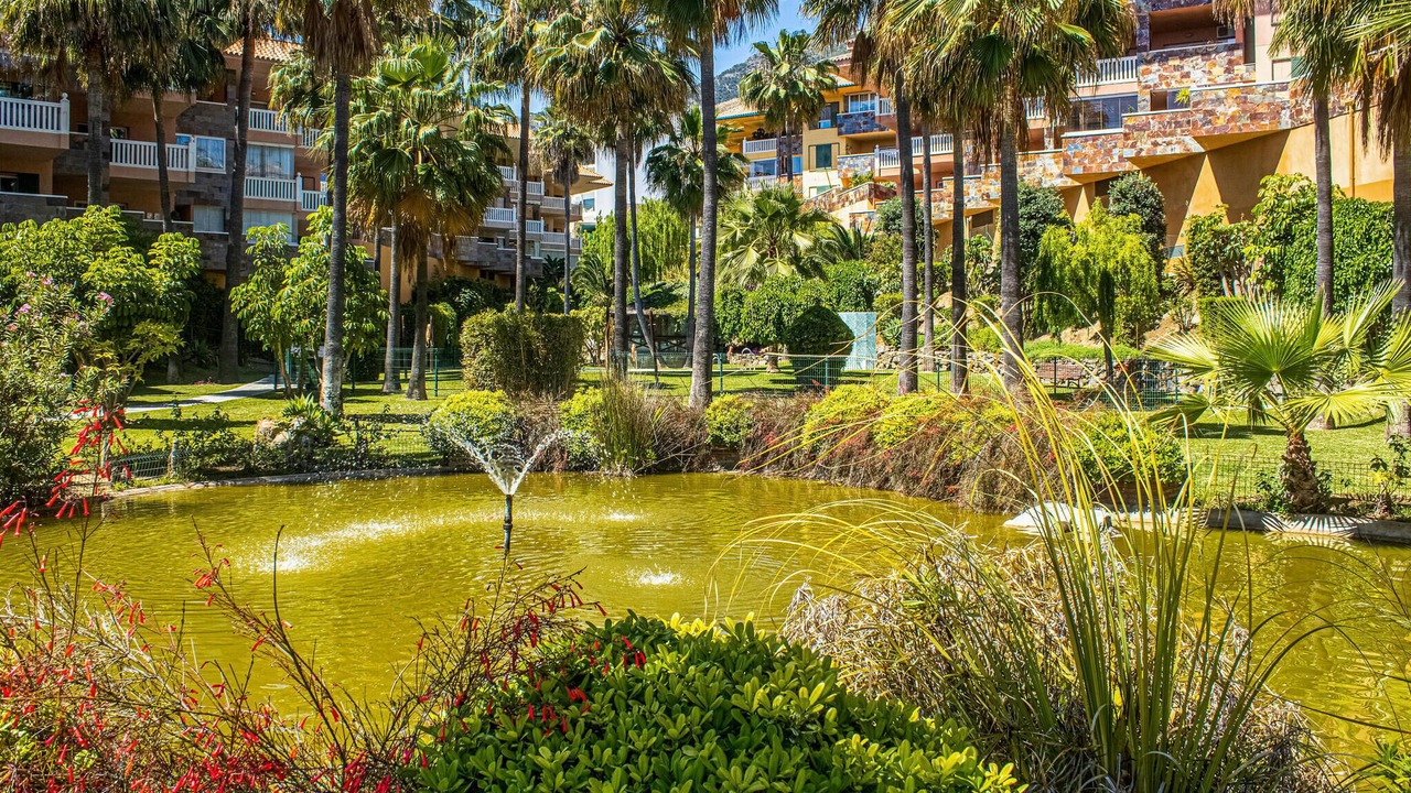Photo of Others in Benalmadena Costa