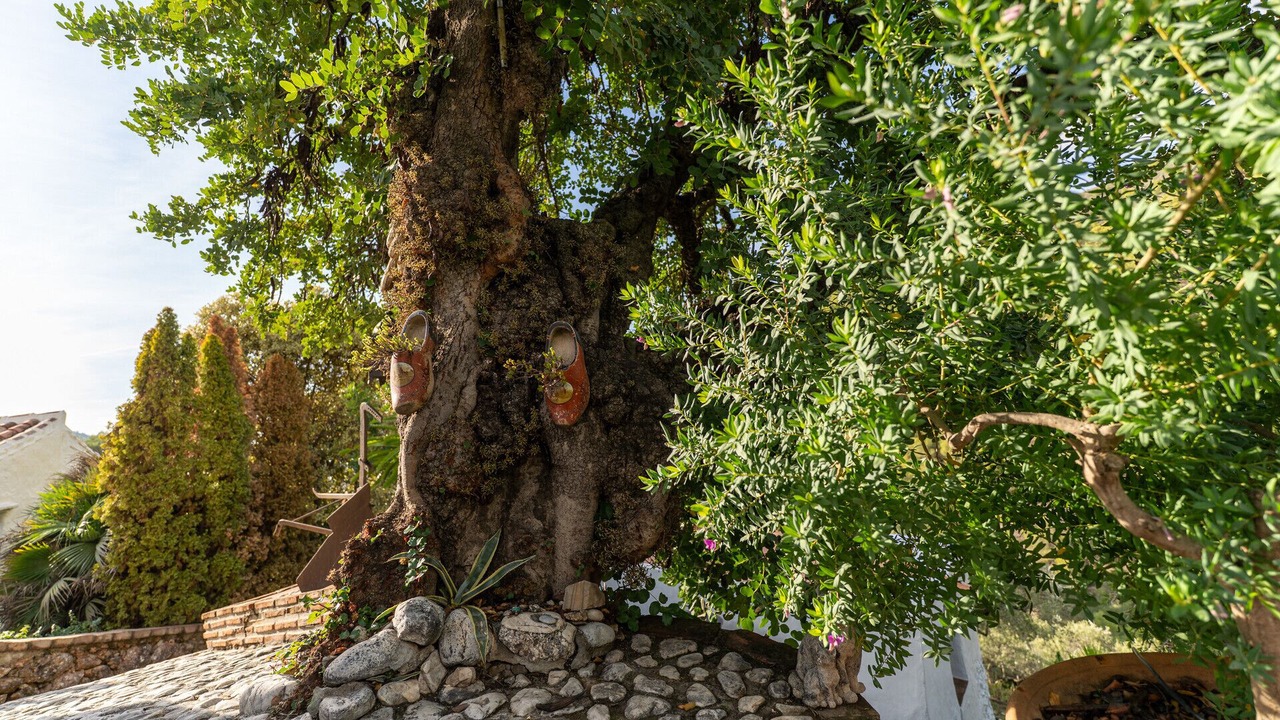 Photo of Outdoor in Torrox