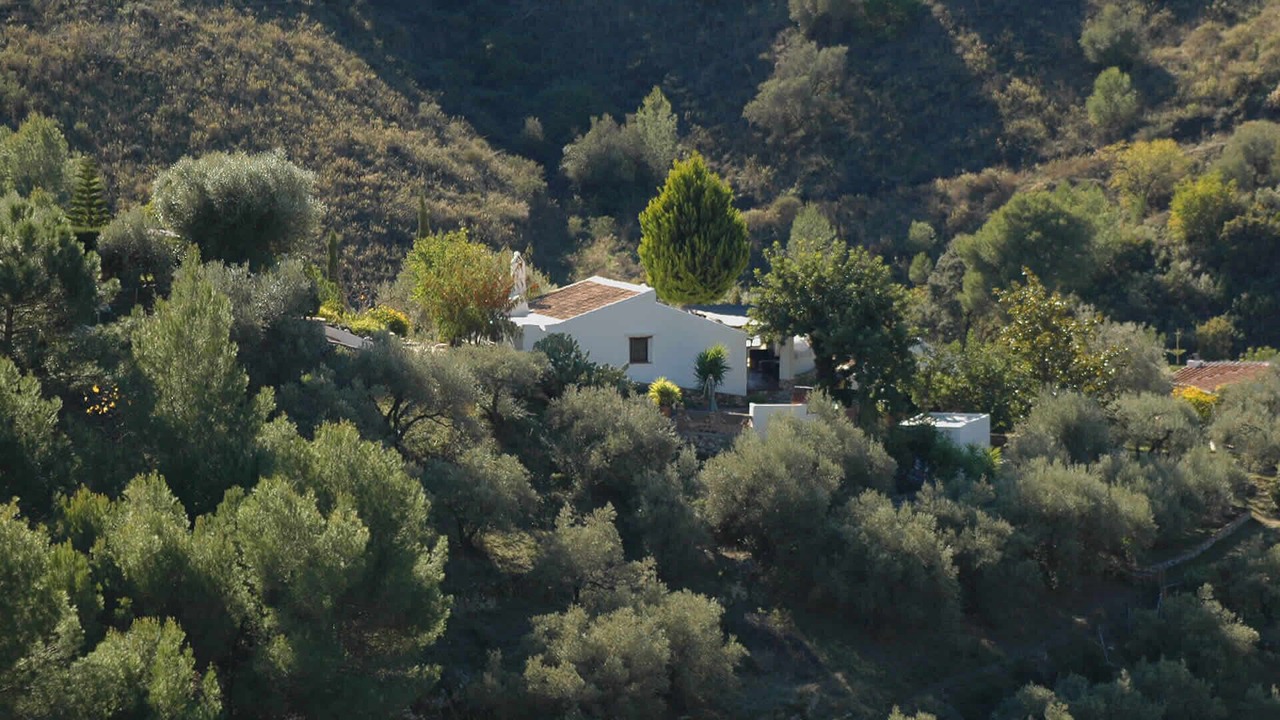 Photo of Others in Torrox
