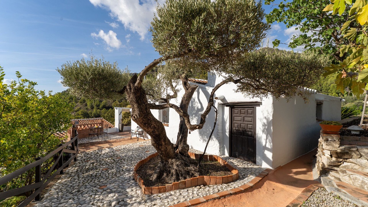 Photo of Outdoor in Torrox