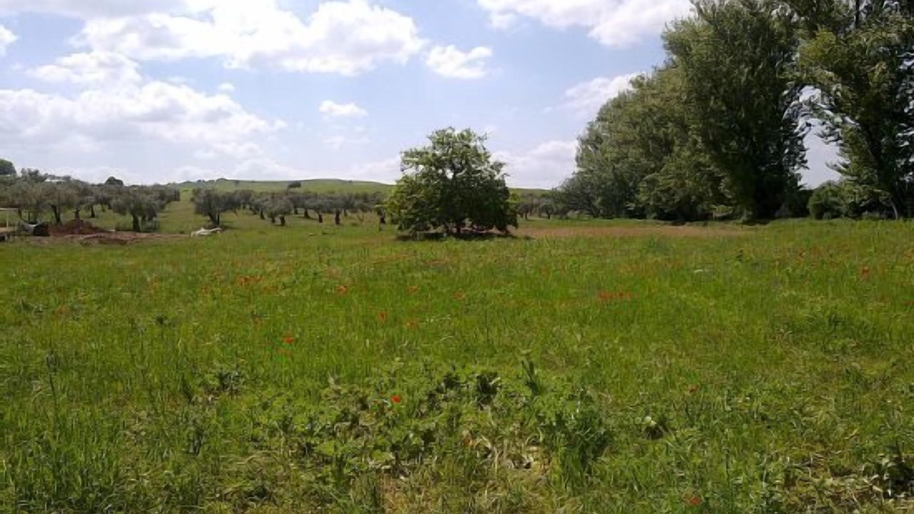 Photo of Outdoor in Fuente de Cantos