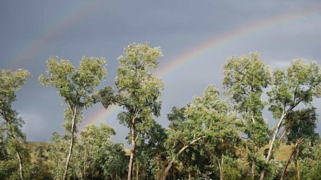 Photo of Outdoor in Fuente de Cantos