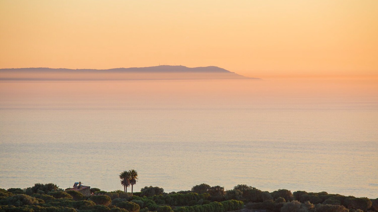 Photo of Others in Bolonia