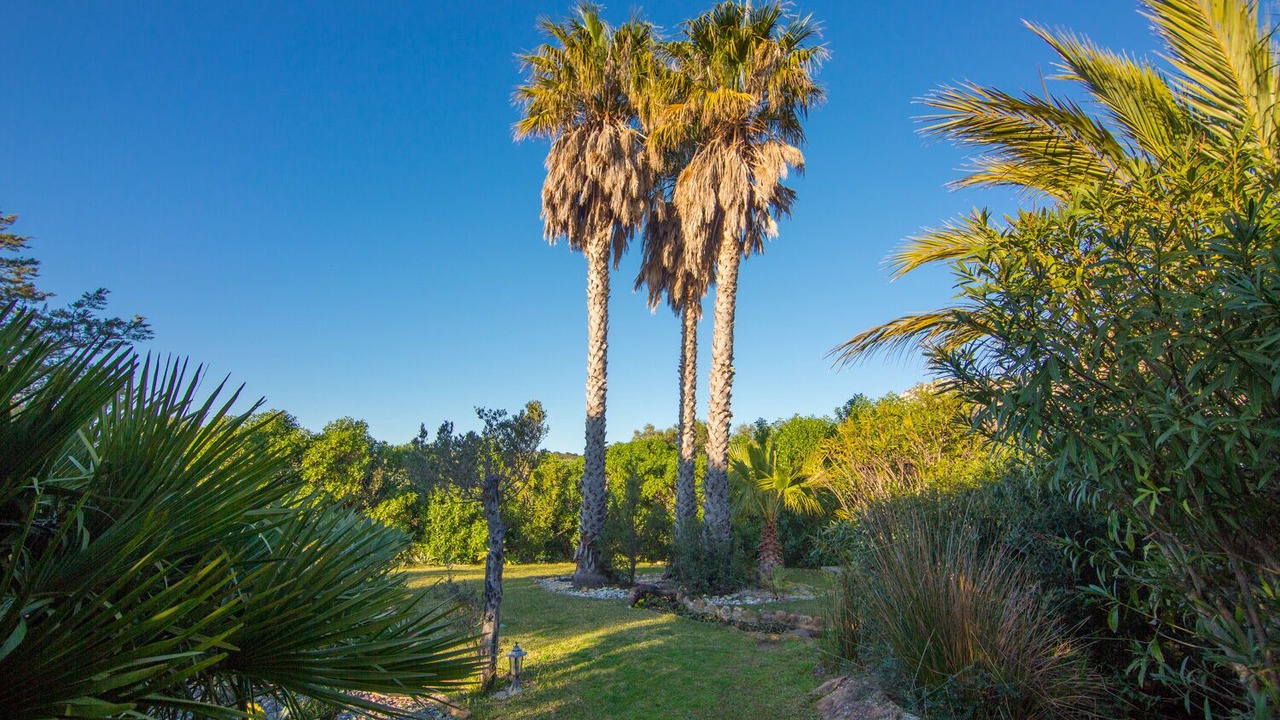 Photo of Outdoor in Bolonia
