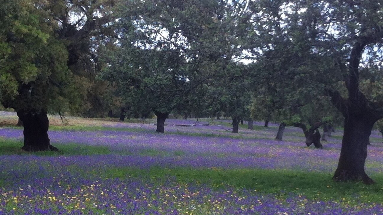 Photo of Outdoor in Cala