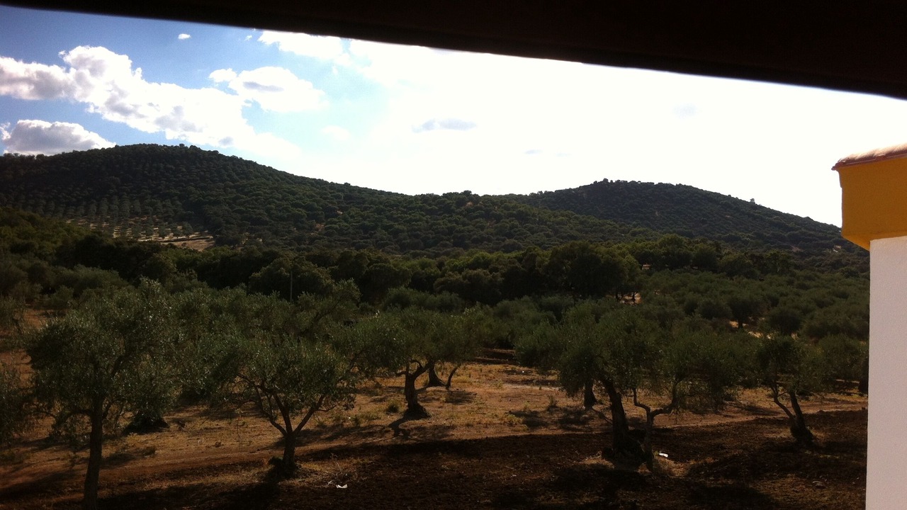 Photo of Others in Cala