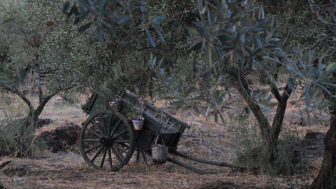 Photo of Outdoor in Cala
