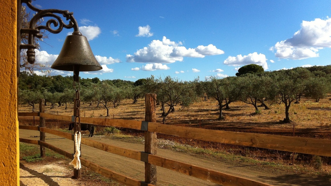 Photo of Outdoor in Cala