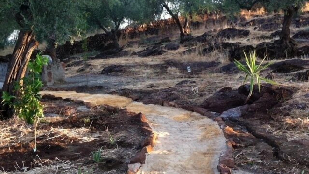 Photo of Outdoor in Cala