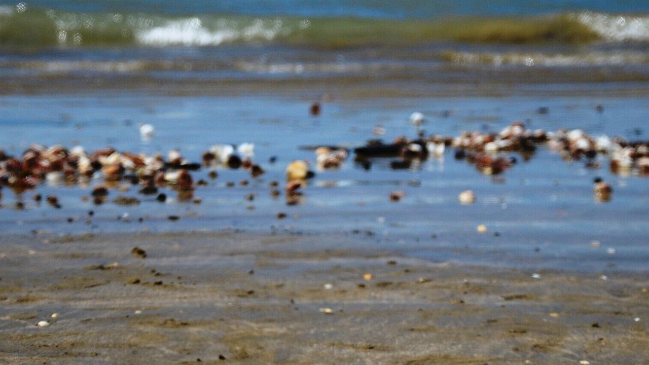 Photo of Others in Punta Umbria