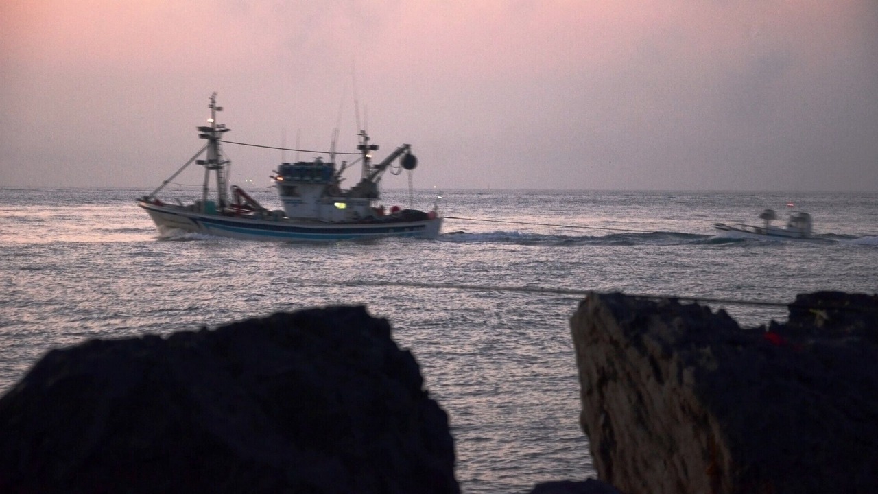 Photo of Others in Punta Umbria