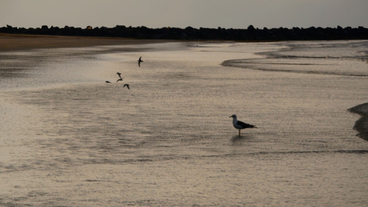 Photo of Others in Punta Umbria