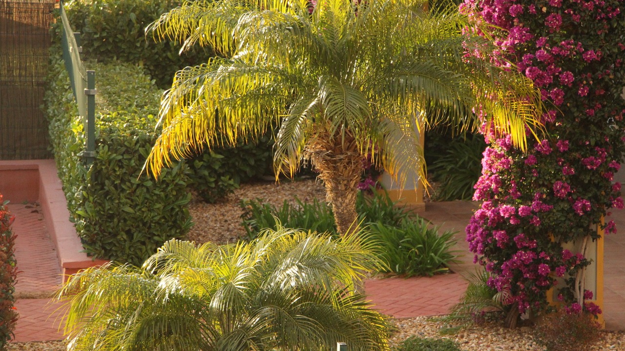 Photo of Outdoor in Costa Esuri