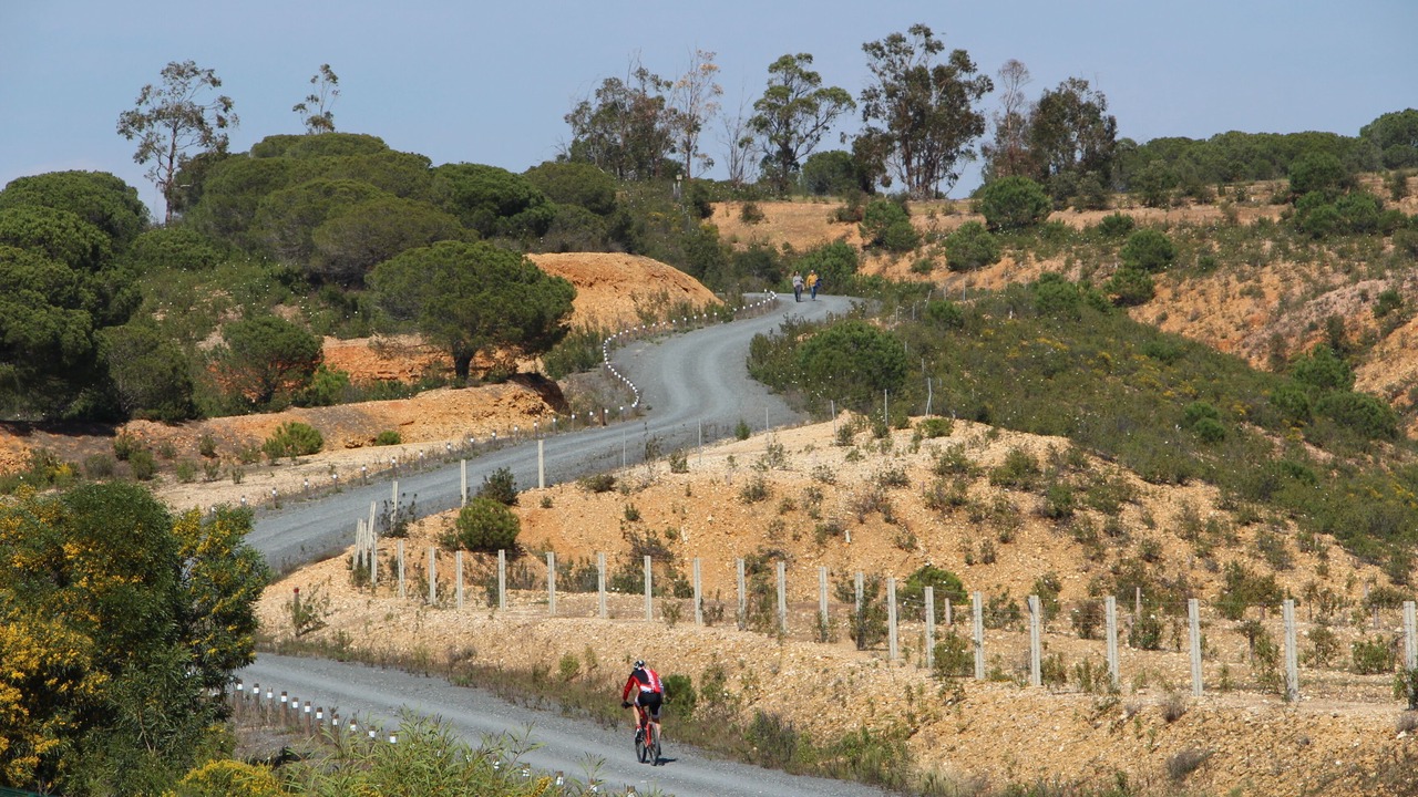 Photo of Outdoor in Costa Esuri