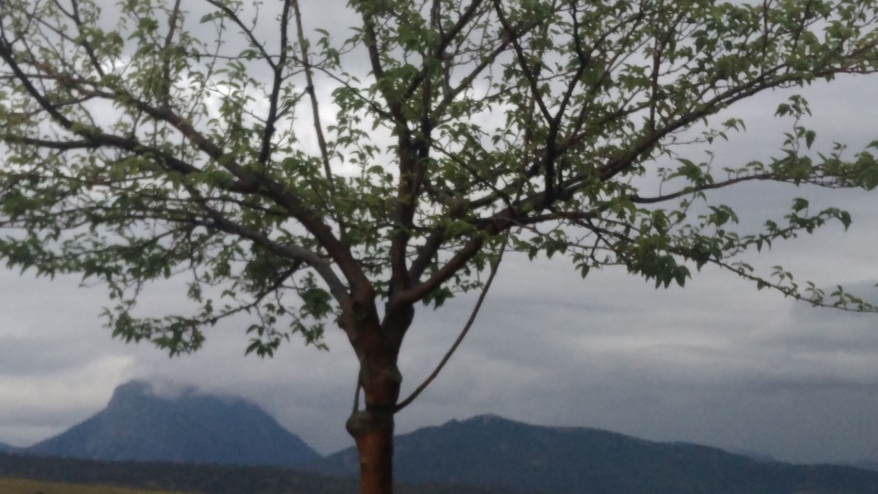 Photo of Others in Prado del Rey