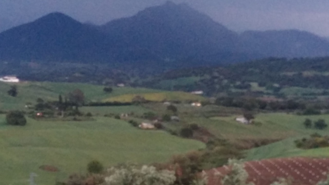 Photo of Outdoor in Prado del Rey