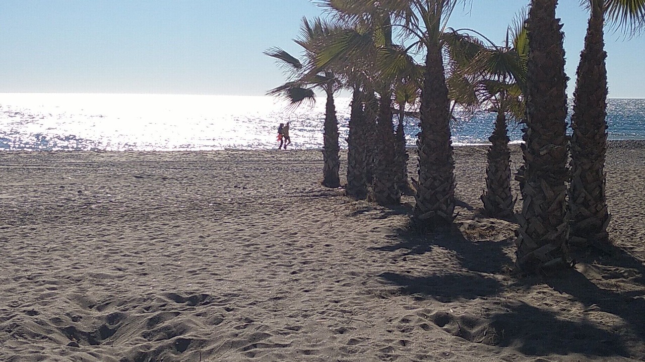 Photo of Others in La Cala del Moral