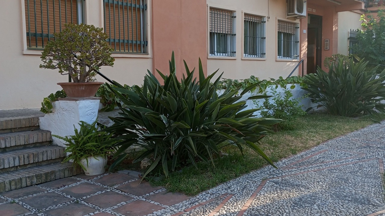 Photo of Outdoor in La Cala del Moral