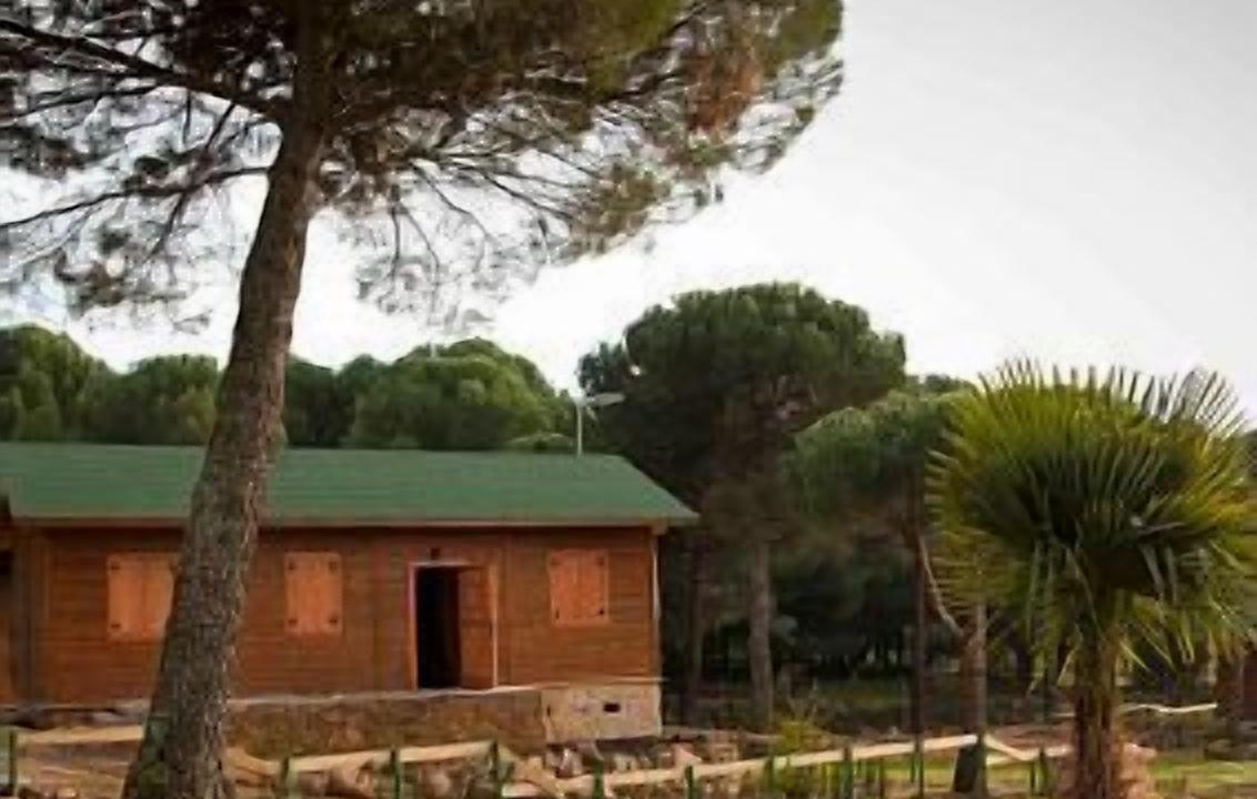 Photo of Outdoor in Andujar