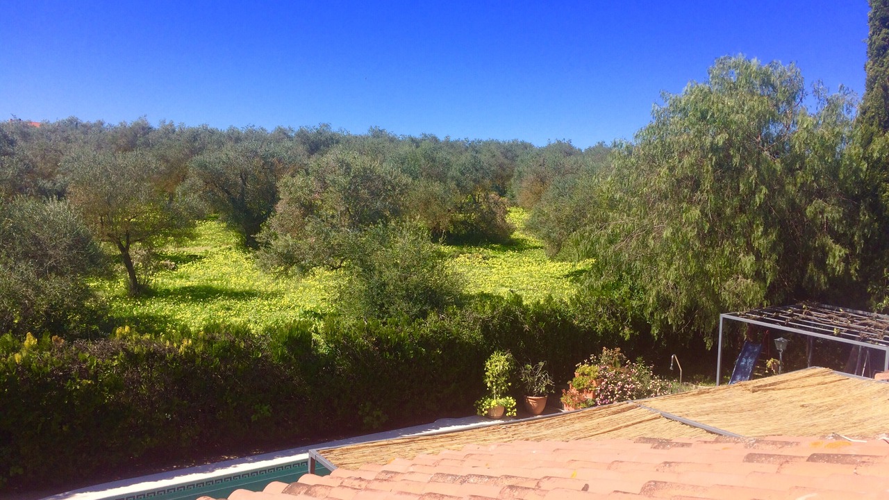 Photo of Outdoor in Espartinas