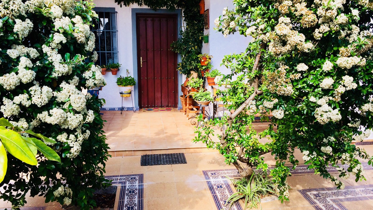 Photo of Outdoor in Espartinas