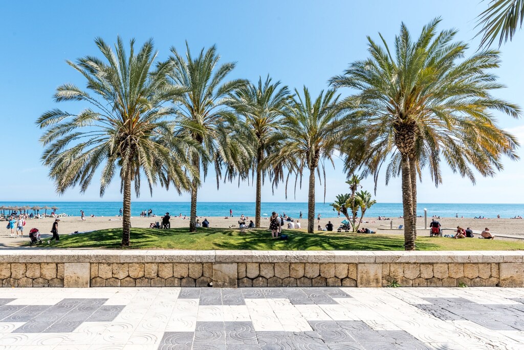 Photo of Outdoor in La Malagueta