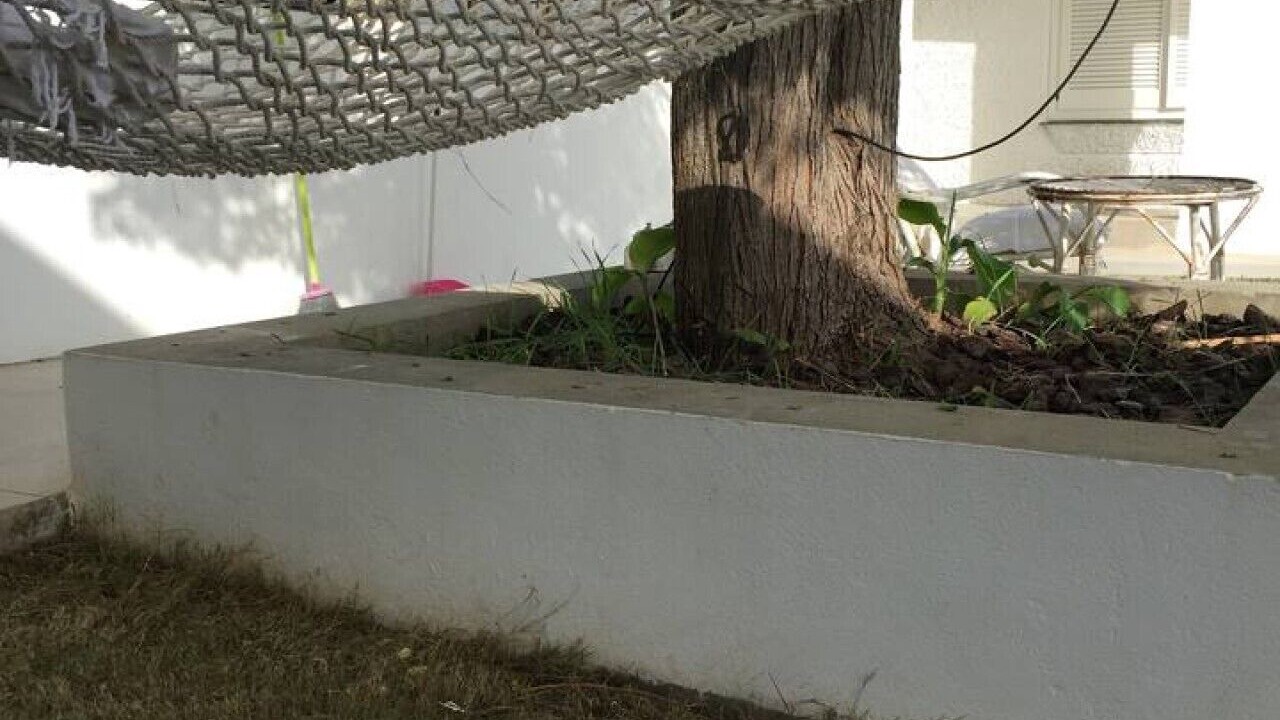 Photo of Outdoor in El Puerto de Santa Maria