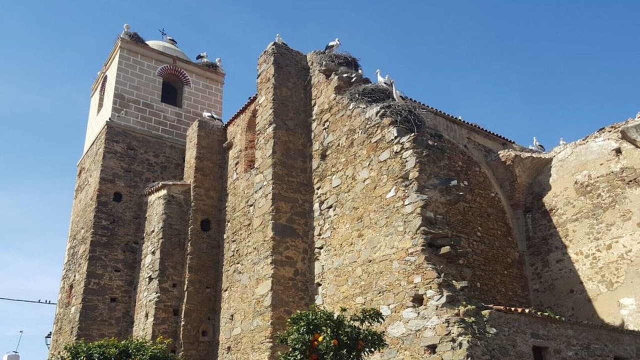 Photo of Others in Acedera