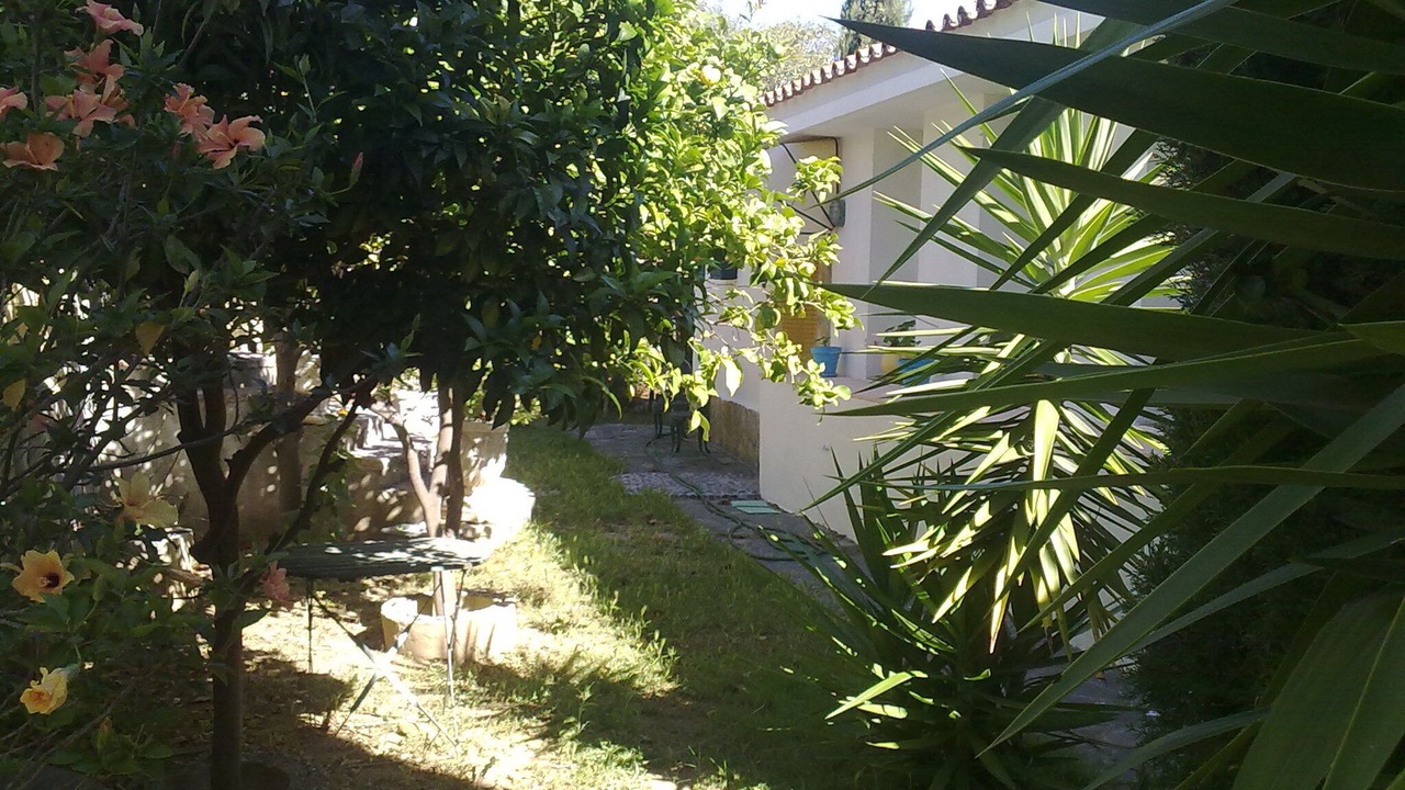 Photo of Outdoor in Estepona
