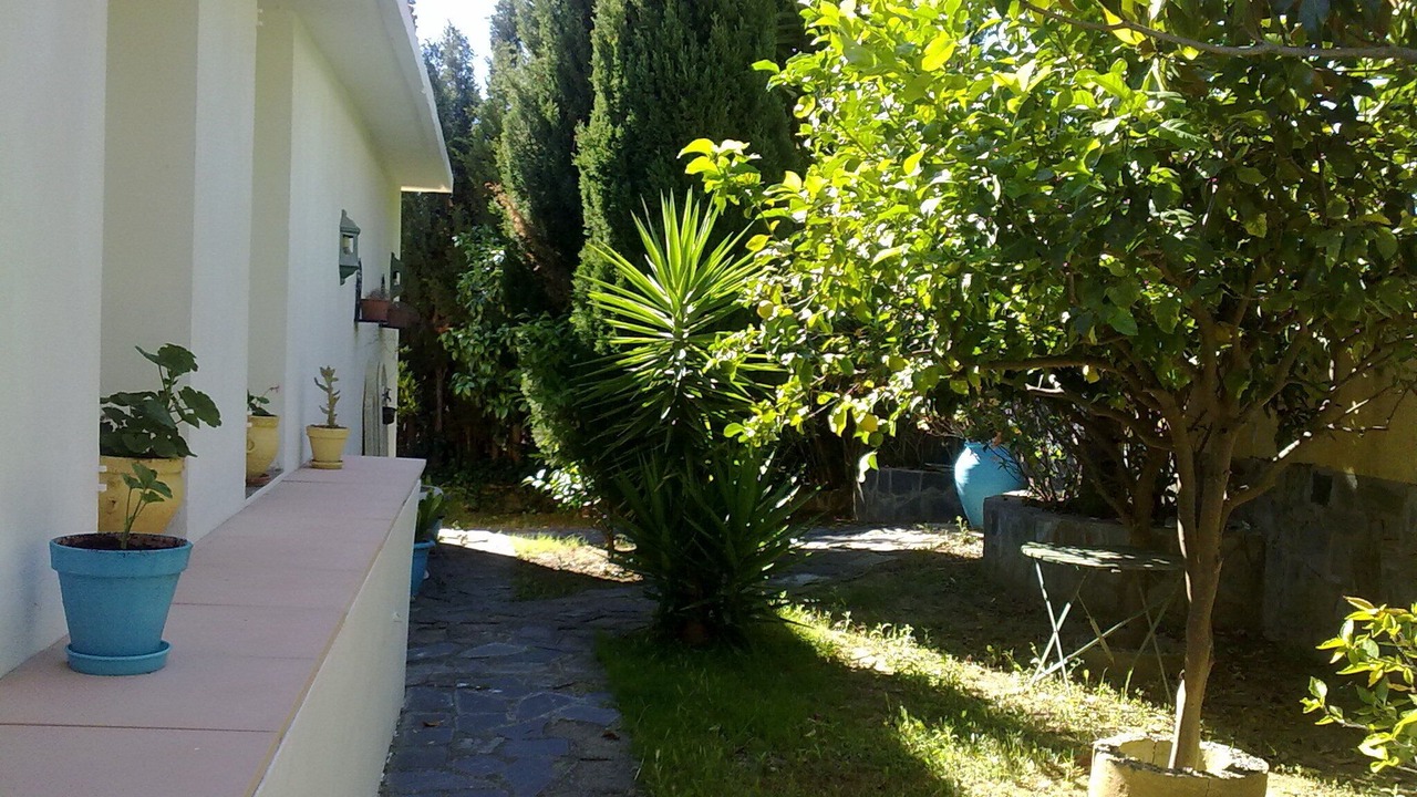 Photo of Outdoor in Estepona