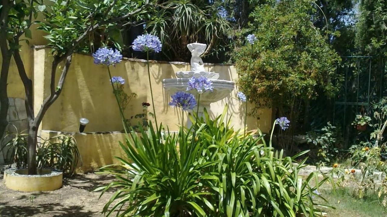 Photo of Outdoor in Estepona