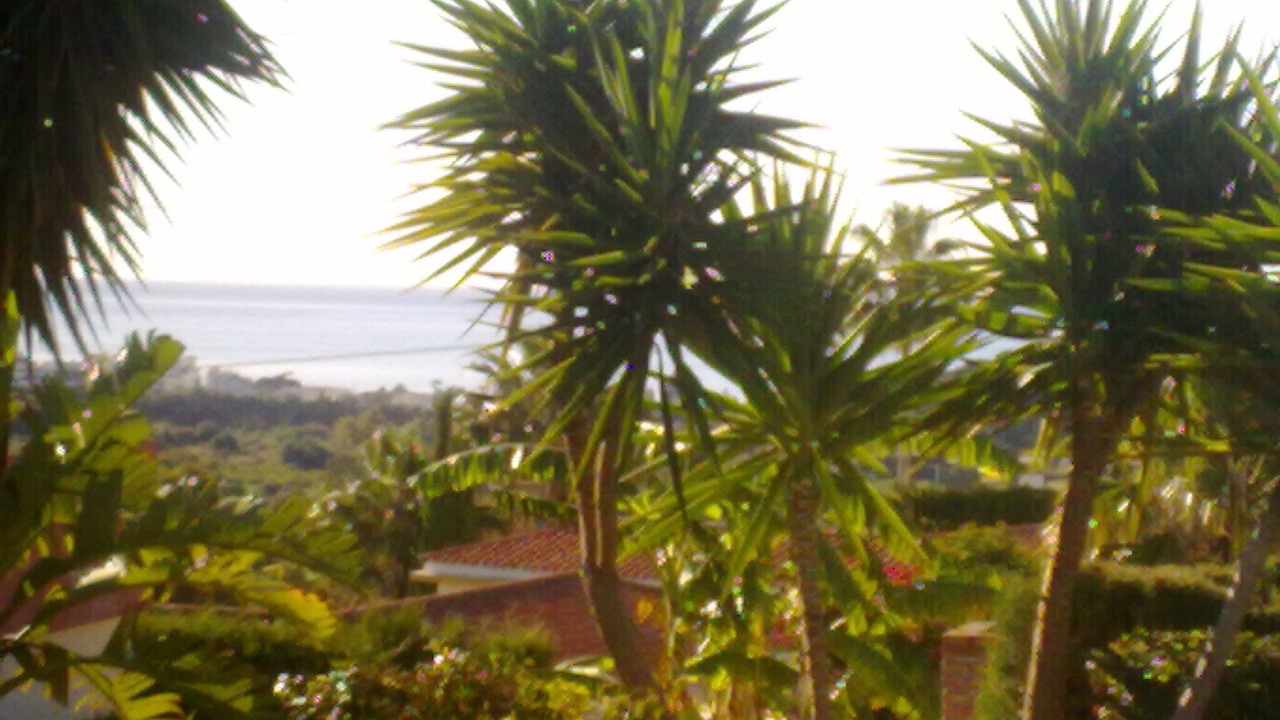 Photo of Outdoor in Estepona