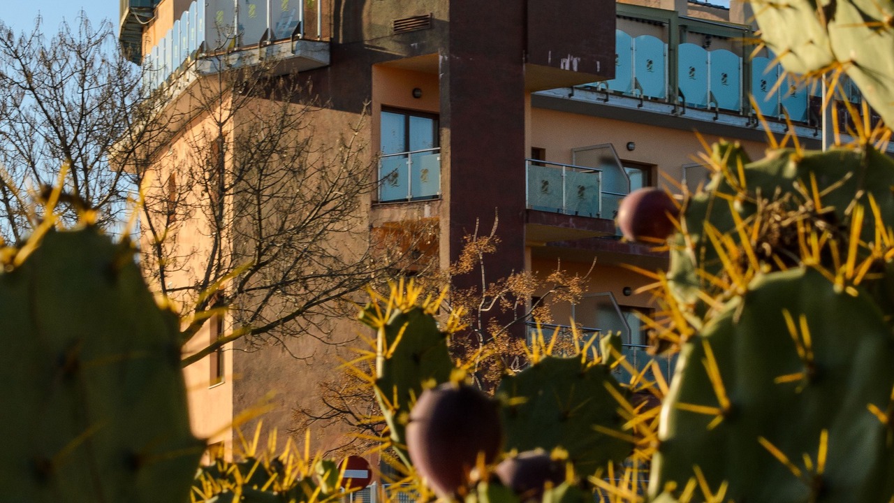 Photo of Outdoor in Mazagon