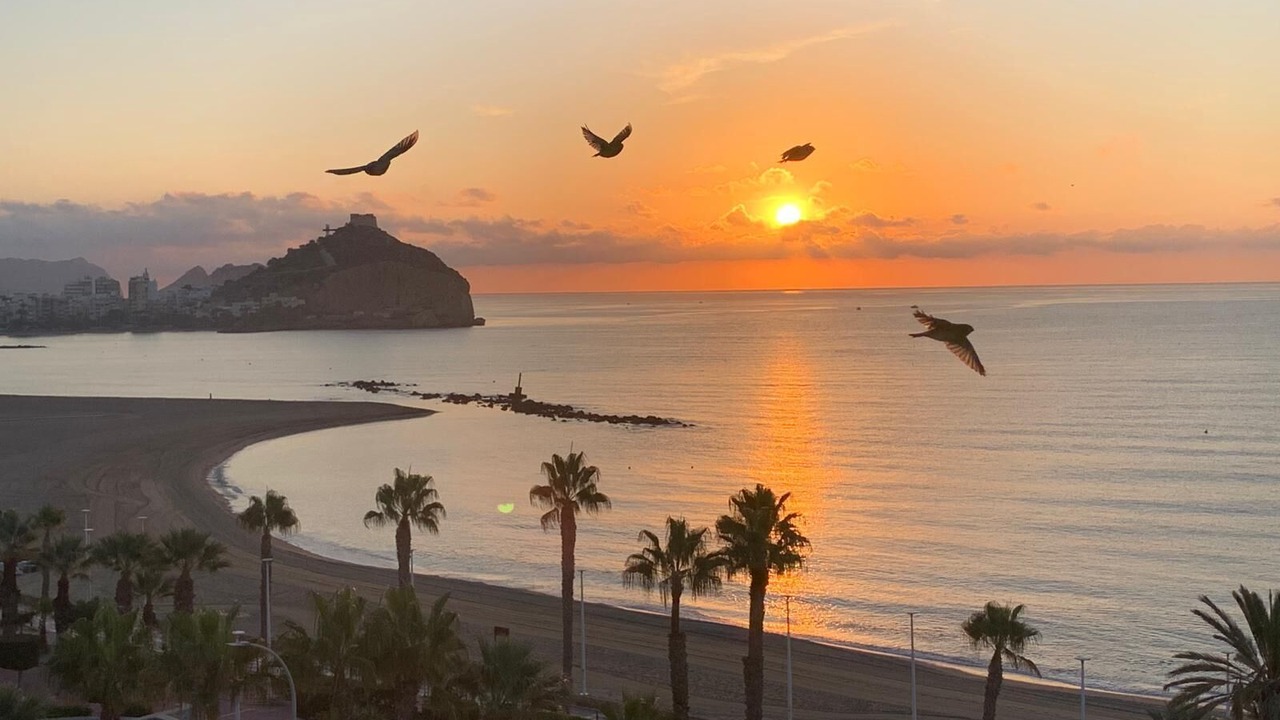 Photo of Others in Aguilas