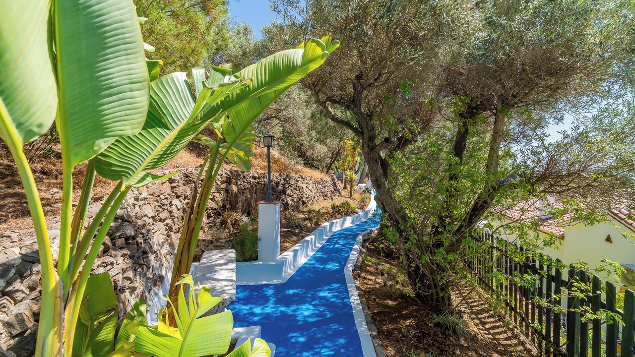 Photo of Outdoor in Torrox