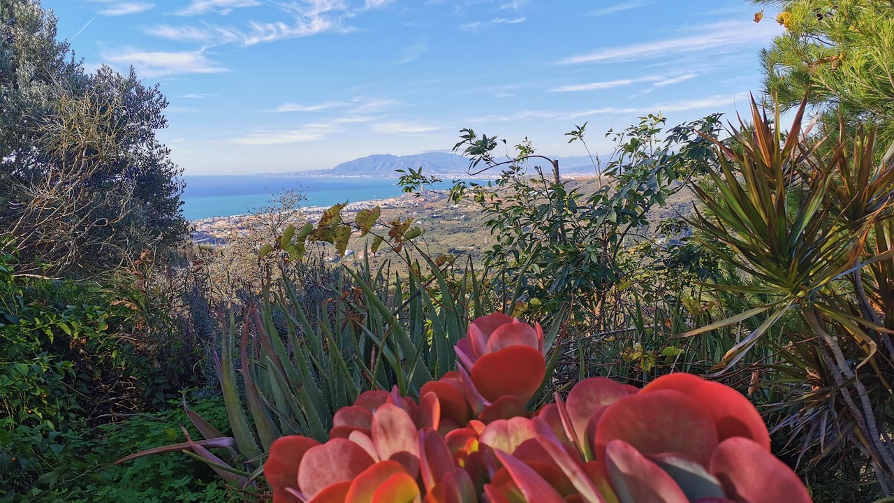 Photo of Outdoor in Rincon de la Victoria