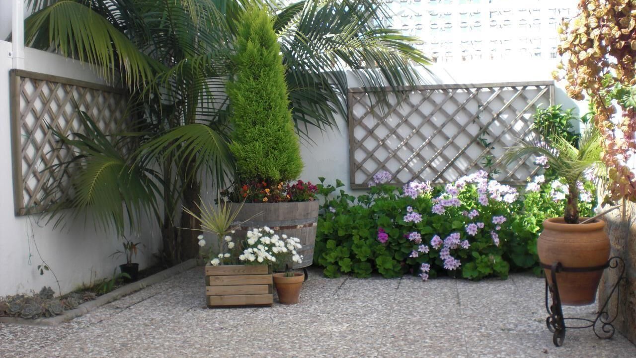 Photo of Outdoor in Chipiona