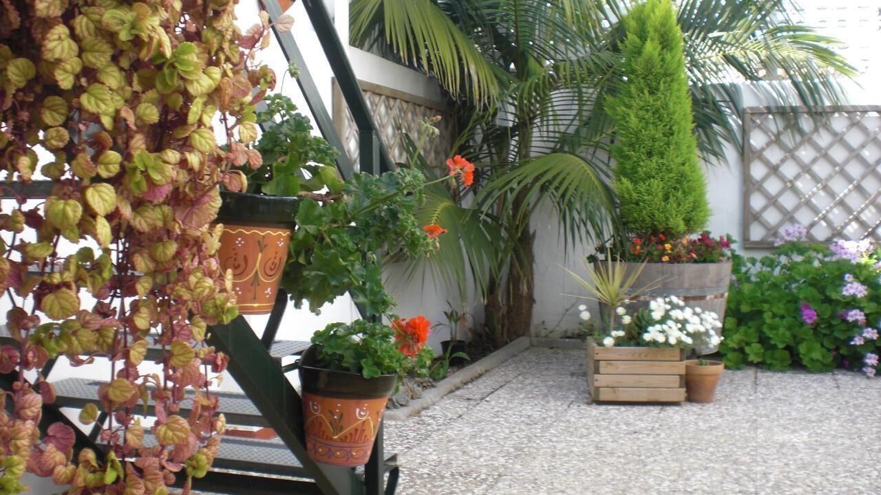 Photo of Outdoor in Chipiona