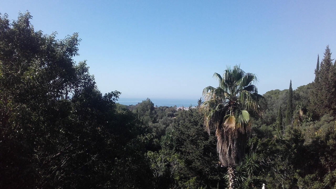 Photo of Others in Mijas