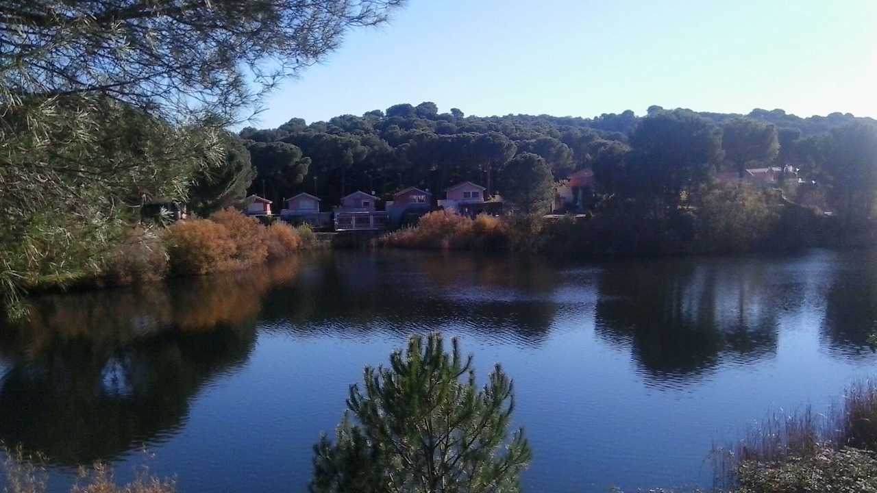 Photo of Others in Las Jaras